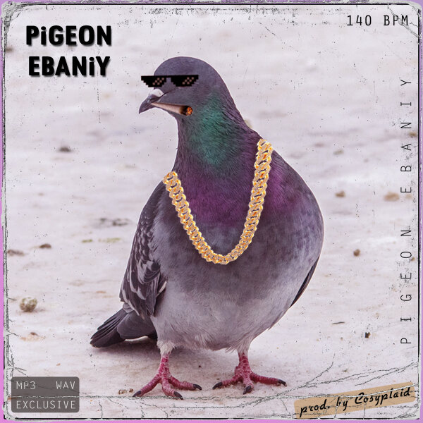 Pigeon Ebaniy