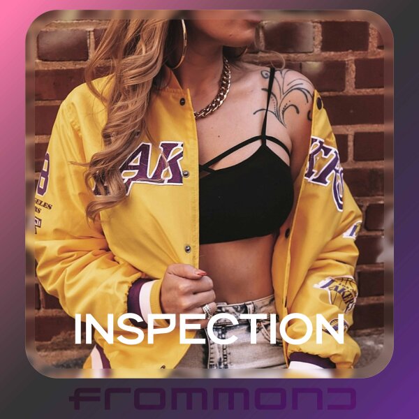 inspection | f#m | pop x deep house