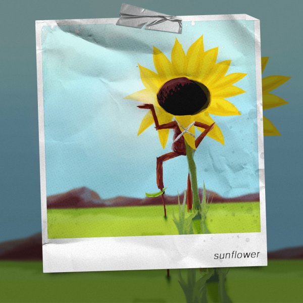 Sunflower (feat. Juvy Catcher)