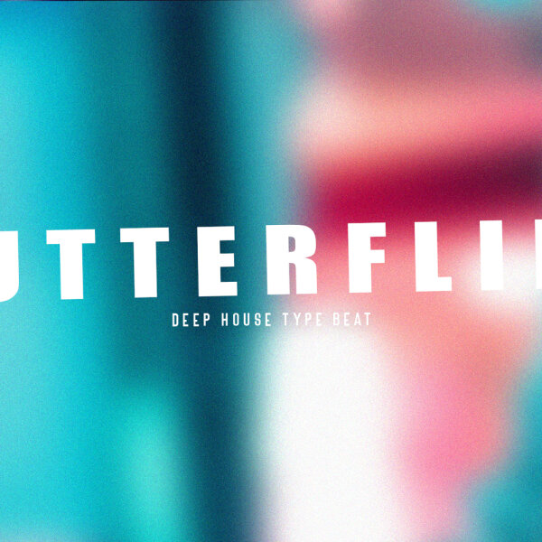 butterflies | speed | house