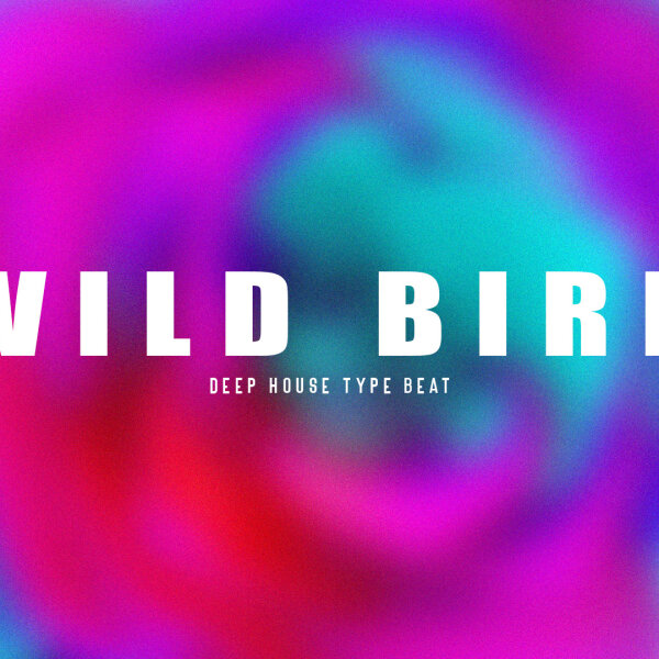 wild bird | deep | club