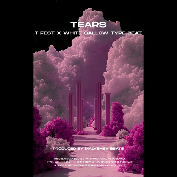 T Fest x White Gallow type beat - Tears