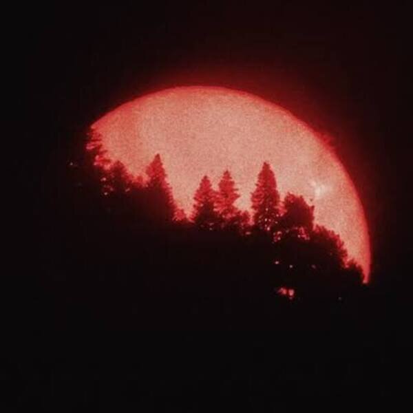 "Calm" - $uicideboy$ X DEVILISH TRIO Type Beat