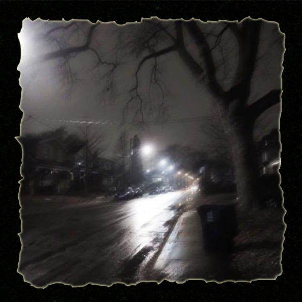 LONELY NIGHT ( BONES X ХАСКИ )
